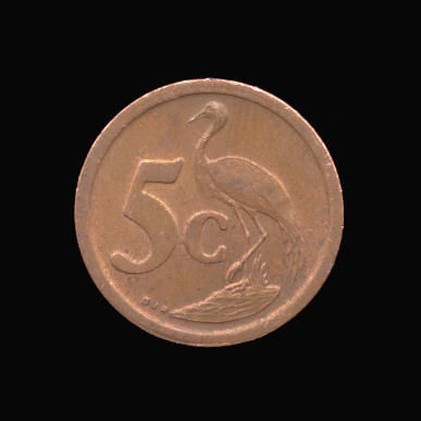South African coin